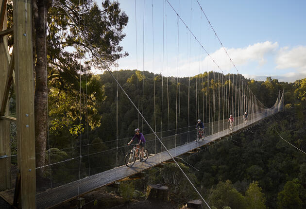Der Timber Trail, ein Mountainbike-Abenteuer durch den Pureora Forest Park, ist eine Fahrt durch uralte Bäume, mit Vögeln, Hängebrücken und hinein in die Geschichte der frühen Māori.