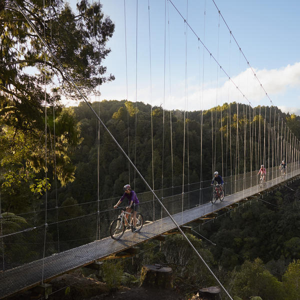 Diese lange Hängebrücke verläuft mitten durch die üppige Vegetation Neuseelands.