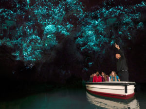 Waitomo Glühwürmchenhöhlen