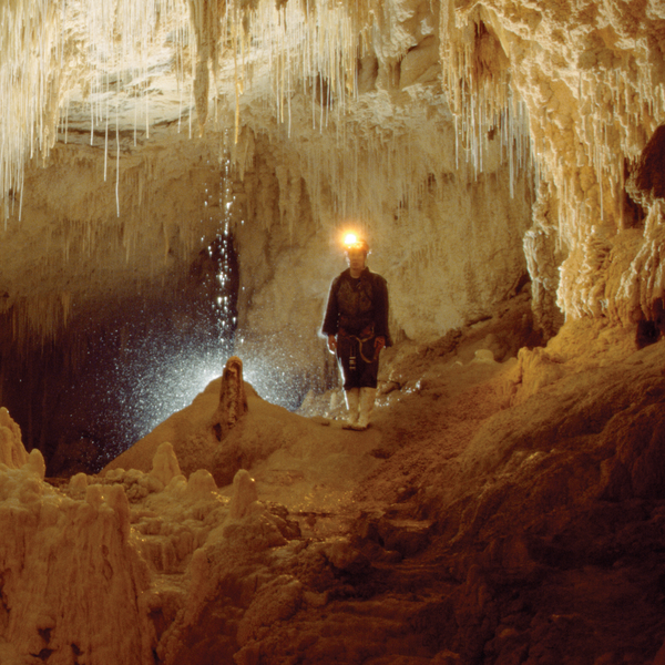 Luckie Strike Cave in Waitomo.