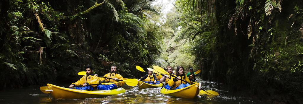 Glowworm Kayak, Karapiro