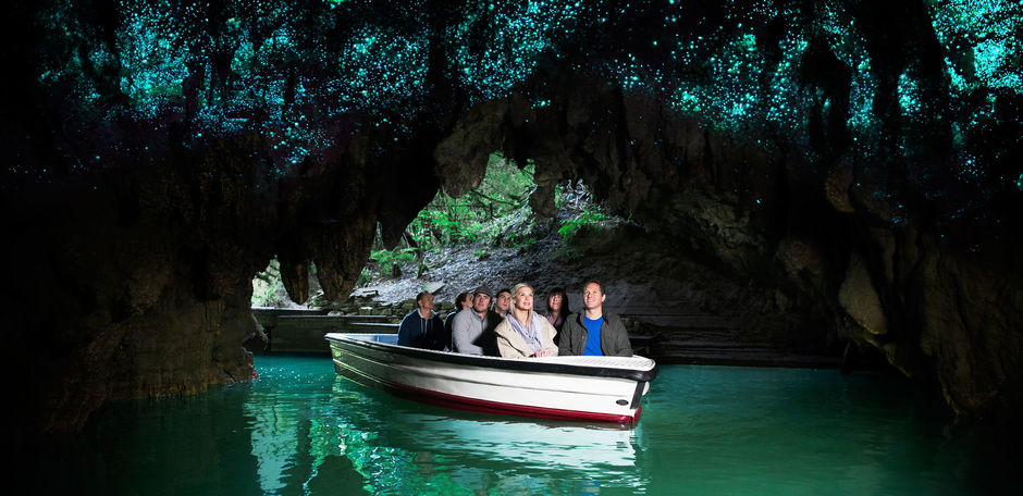 Die mysteriös funkelnden Glühwürmchen der Waitomo Caves