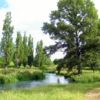 Te Waihou Walkway, Putaruru