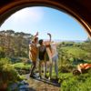 For your own Middle-earth adventure, daily tours are available to visit the original Hobbiton Movie Set.