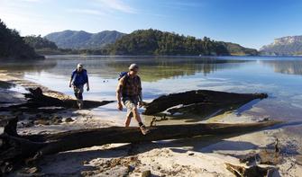 Walk along the crystal clear Lake Waikaremoana.