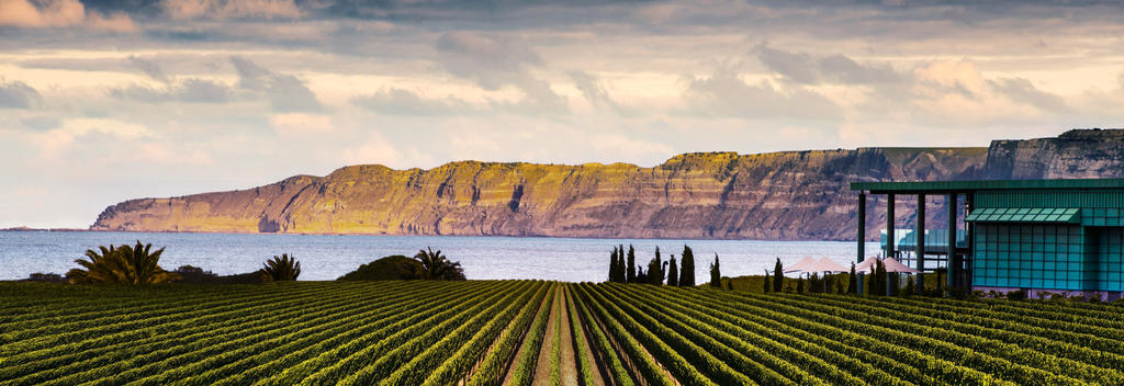 Elephant Hill Winery on the Te Awanga Coast in the Hawke's Bay is home to an award-winning restaurant and world-class wines.