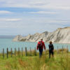 Cape Kidnappers is an extraordinary sandstone headland, home to to the largest and most accessible gannet colony