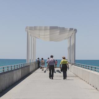 Napier viewing platform