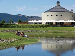 The Hawke's Bay is famous for its wineries. After a morning of shopping, relax over a glass of award-winning merlot in the sunshine.