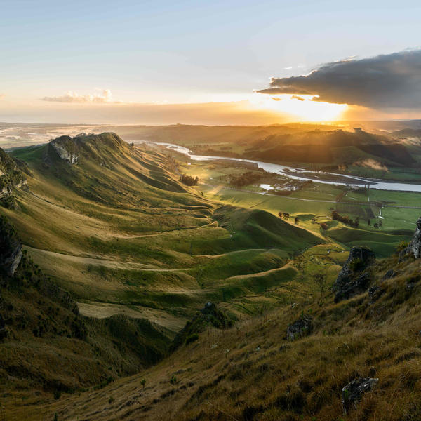 Our classic fleet at Te Mata Peak