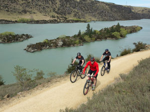 洛克斯堡峡谷自行车道（Roxburgh Gorge Trail）越过克鲁萨河（Clutha River）蜿蜒前行，探访奥塔哥中部中心地带。