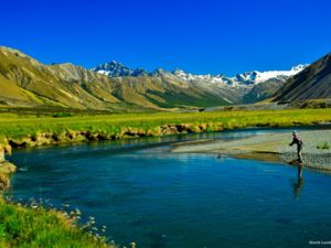 Clear rivers flowing from the Southern Alps create an ideal environment for trophy-sized wild trout.