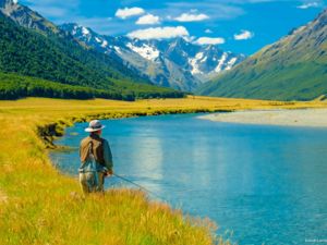 Fishing for large wild trout is particularly rewarding when you can see the fish you're after. With perfectly clear water, the South Islands rivers offer outstanding sight fishing experiences.