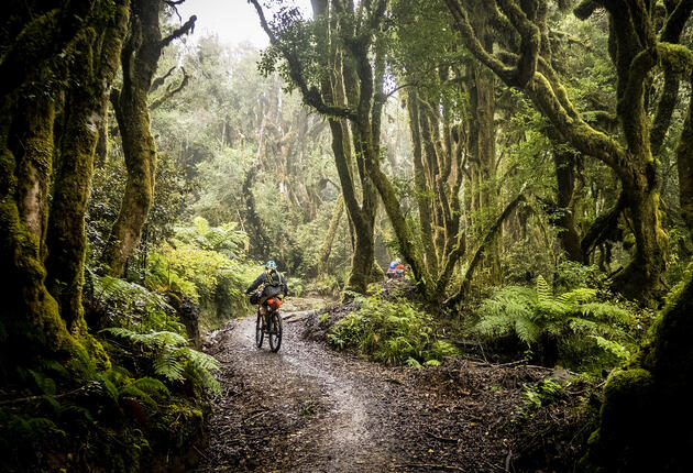 Set amidst stunning scenery, these internationally-acclaimed mountain biking trails in Taupō are a must-try.