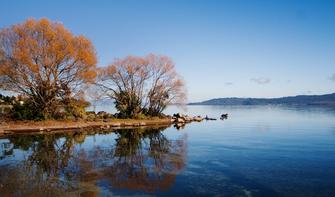 Lake Taupō is beautiful in autumn.