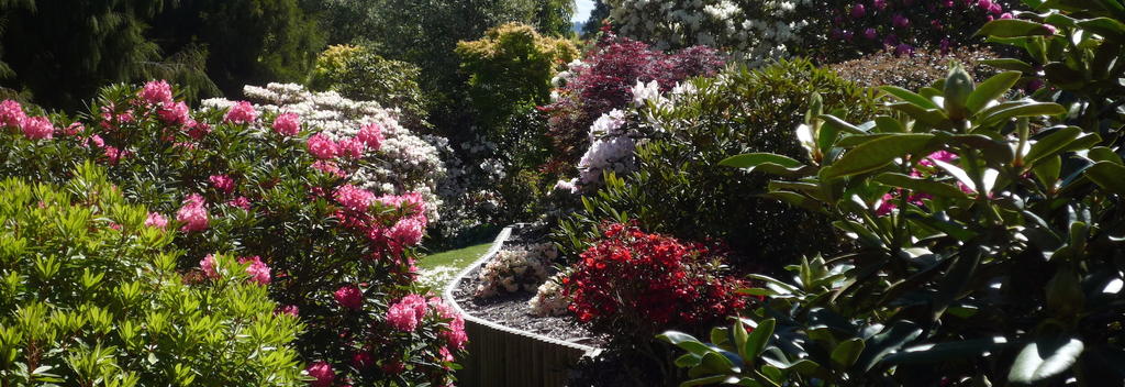Discover colourful Rhododendrons at the Waipahihi Botanical Gardens.