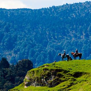 Horse riding in the Rangitikei, New Zealand