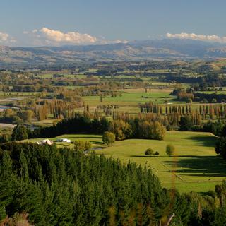 Tōtara Reserve lies in the lush Pohangina Valley.