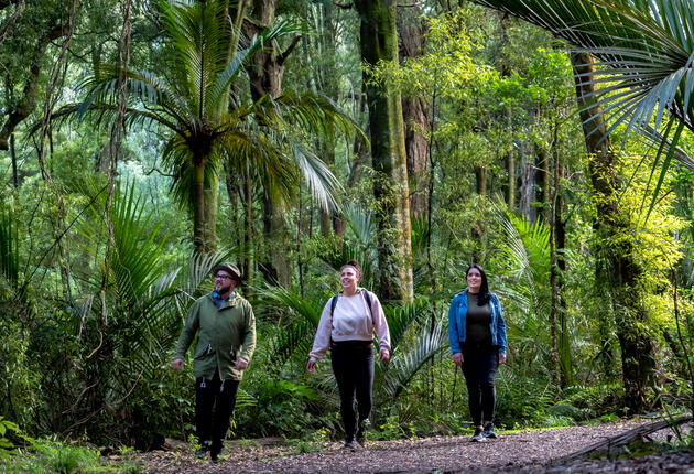 Manawatū offers a wide range of scenic walks, including the iconic Manawatū Gorge Track. Put on your walking shoes and discover Manawatū's top walks.
