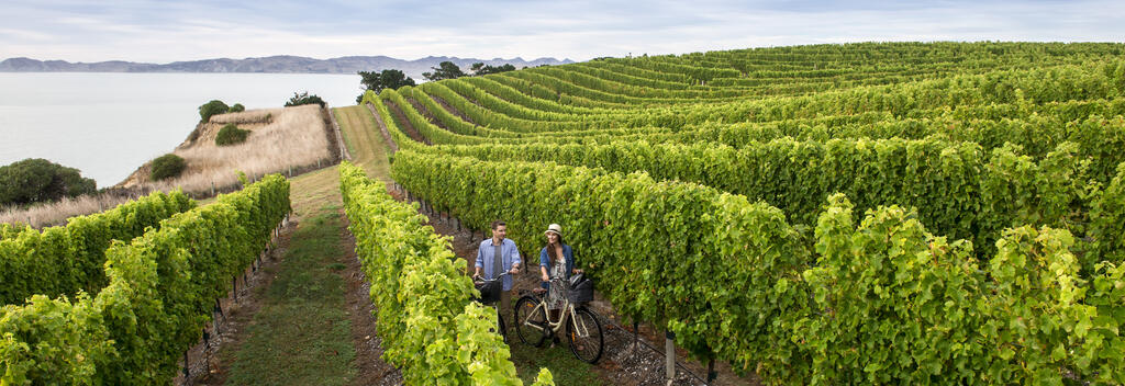 Marlborough ist das ideale Ziel für Paare, die gerne draußen in der Natur unterwegs sind, einen guten Wein und hervorragendes Essen zu schätzen wissen. Perfekt für eine Radtour oder Wanderung!