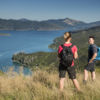 Queen Charlotte Track