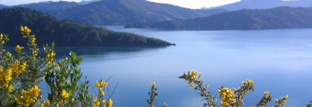 Queen Charlotte Sound