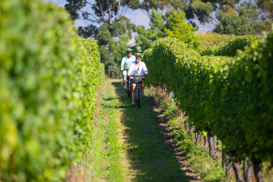 Wine Tours by Bike in Marlborough 
