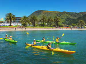 Kayaking, Picton