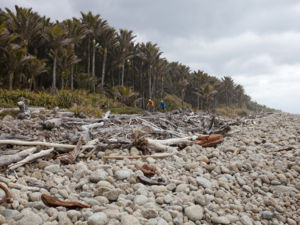 Experience a range of diverse and pristine habitats from mountains to sea on this amazing multi-day mountain biking adventure.