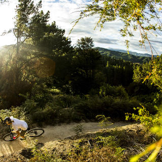 Spread over the low hills of a recreation reserve, tucked behind the village and well away from the busy beachfront, Kaiteriteri Mountain Bike Park is