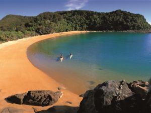 Kayaking Abel Tasman National Park