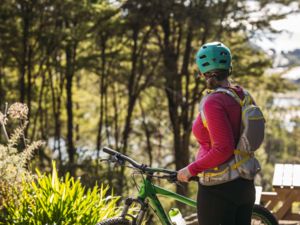 Kaiteriteri Mountain Bike Park