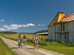 Cycling in Nelson beer country