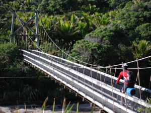 The Heaphy Track bridge