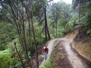 Downhill adrenaline at the Kaiteriteri Mountain Bike Park.