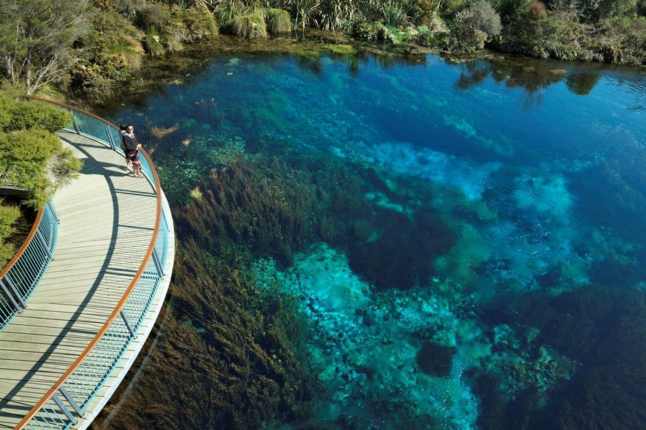 Te Waikoropupu Springs, Nelson