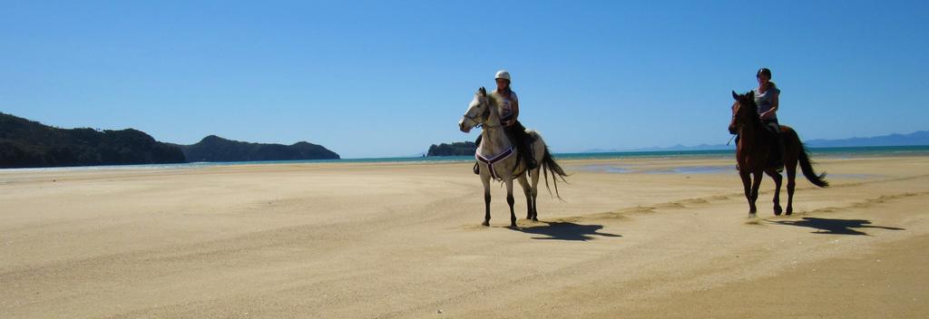 Riding along the golden sands of the Marahau Beach