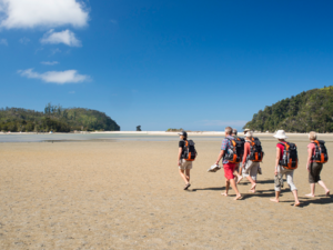 Der Abel Tasman Nationalpark gehört zu den sonnenreichsten Orten Neuseelands.