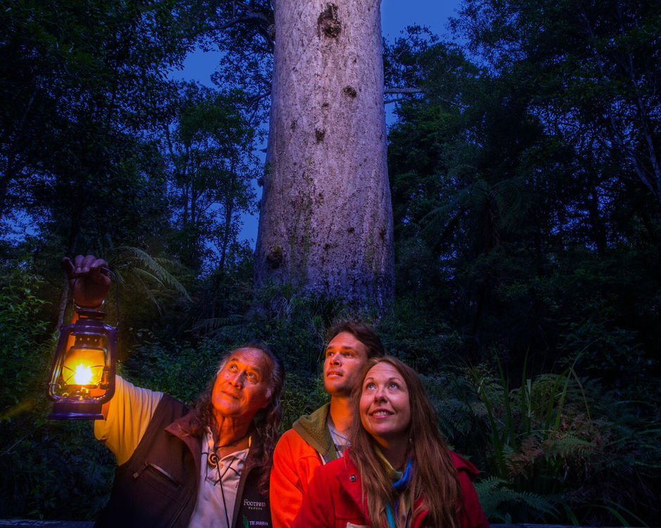 Waipoua Forest Footprints tour