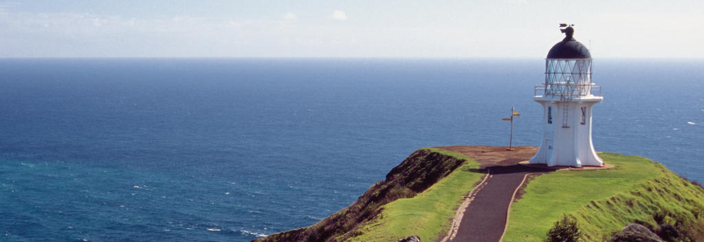 Maori spirits are said to travel after death to the Pohutukawa tree on Cape Reinga.