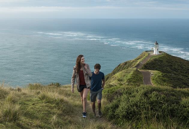 Journey deeper into the Northland region by exploring via the Twin Coast Discovery Highway or the many cycle trails and walking tracks. See this itinerary to learn more.