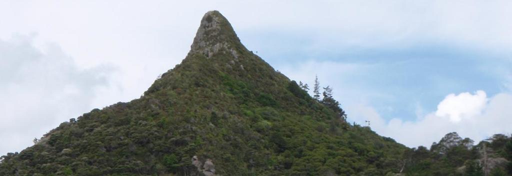 托卡托卡峰（Tokatoka Peak）对当地的毛利人来讲有着重要意义，徒步走到峰顶，可领略奇异的景致。