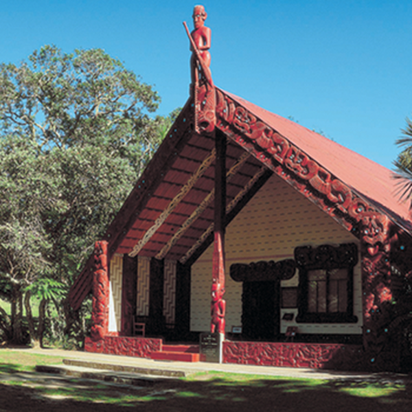 Besuchen Sie ein Versammlungshaus der Maori auf den Waitangi Treaty Grounds.