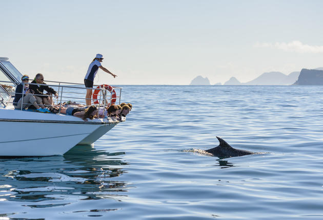 乘船巡游是放松身心和欣赏风景的绝佳放松。新西兰及其周边地区的水资源如此丰富，完美的新西兰之旅当然不能缺少水上活动！
