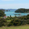 Relax on stunning Urupukapuka Island in the middle of the bay of Islands.