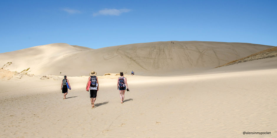 Boarding the epic sand dunes in Northland.