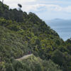 Mangawhai Cliffs Walkway