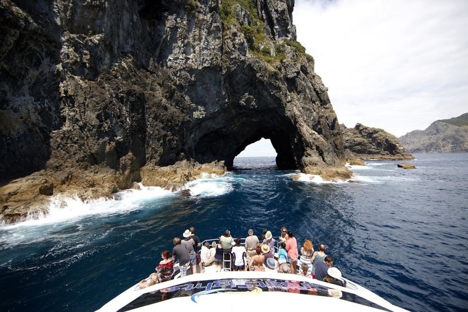 Escape the ordinary and head to Piercy Island, also known as The Hole In The Rock, in the Bay of Islands.
