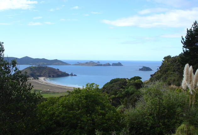 Matauri Bay is a picturesque beach settlement north of the Bay of Islands. It's popular with surfers, divers and golfers alike.