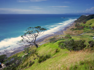 Coastline at Mangawhai Heads in Northland